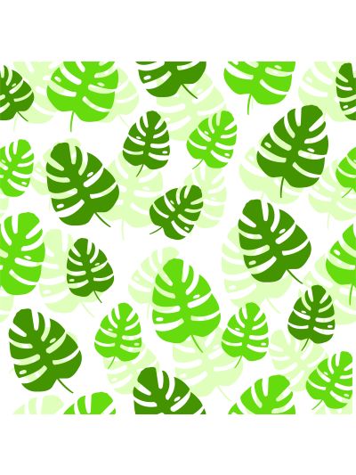 טפט מדבקה להרונות לרהיטים בעל טקסטורה עלים ירוק טרופי-רקע-לבן